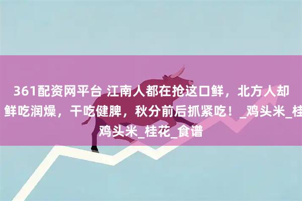 361配资网平台 江南人都在抢这口鲜，北方人却没见过！鲜吃润燥，干吃健脾，秋分前后抓紧吃！_鸡头米_桂花_食谱