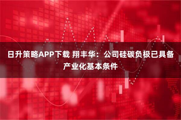 日升策略APP下载 翔丰华：公司硅碳负极已具备产业化基本条件