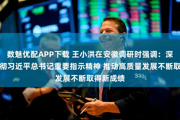 数魅优配APP下载 王小洪在安徽调研时强调：深入学习贯彻习近平总书记重要指示精神 推动高质量发展不断取得新成绩